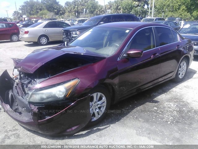 1HGCP26488A021393 - 2008 HONDA ACCORD LXP MAROON photo 2