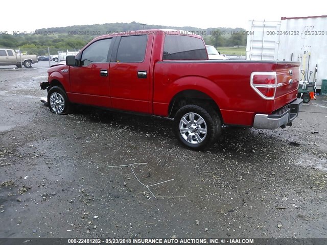 1FTFW1CV5AFC44800 - 2010 FORD F150 SUPERCREW RED photo 3