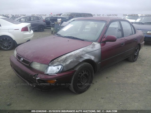 1NXBB02E2TZ433436 - 1996 TOYOTA COROLLA DX RED photo 2