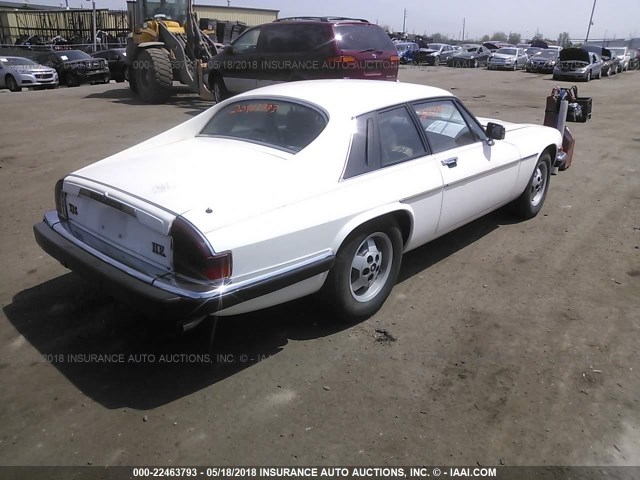 SAJNV5849FC124725 - 1985 JAGUAR XJS WHITE photo 4