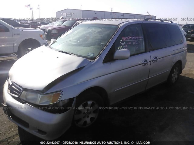 2HKRL18032H559878 - 2002 HONDA ODYSSEY EXL GRAY photo 2