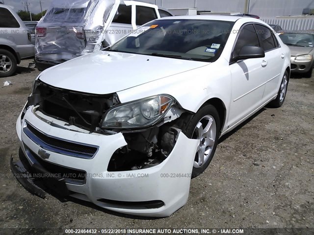 1G1ZB5EB9AF122260 - 2010 CHEVROLET MALIBU LS 白色 照片 2