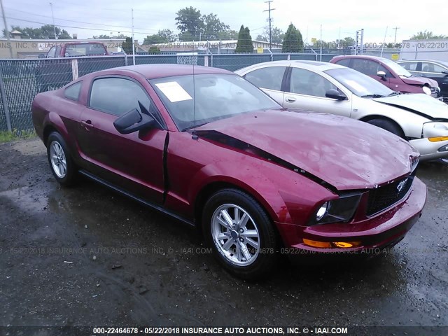 1ZVFT80N475326499 - 2007 FORD MUSTANG RED photo 1