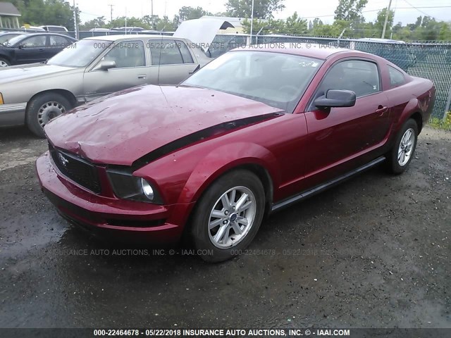 1ZVFT80N475326499 - 2007 FORD MUSTANG RED photo 2