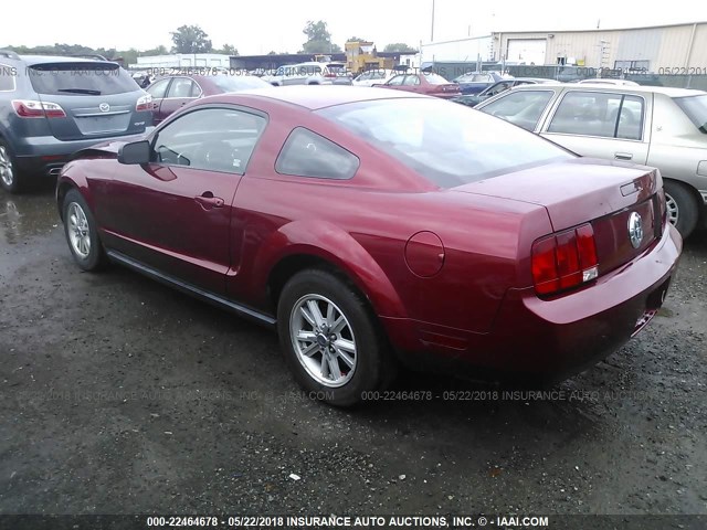 1ZVFT80N475326499 - 2007 FORD MUSTANG RED photo 3