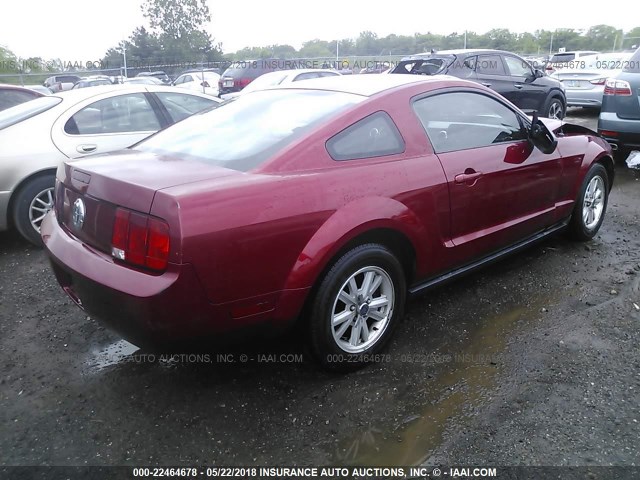 1ZVFT80N475326499 - 2007 FORD MUSTANG RED photo 4