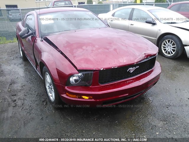 1ZVFT80N475326499 - 2007 FORD MUSTANG RED photo 6