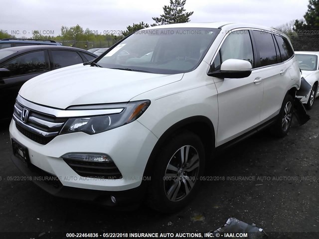 5FNYF6H72GB043627 - 2016 HONDA PILOT EXLN WHITE photo 2