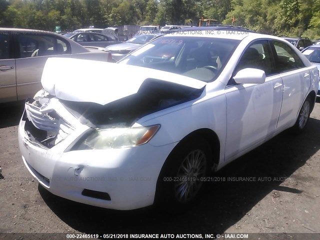 4T1BE46K17U609669 - 2007 TOYOTA CAMRY NEW GENERAT CE/LE/XLE/SE WHITE photo 2