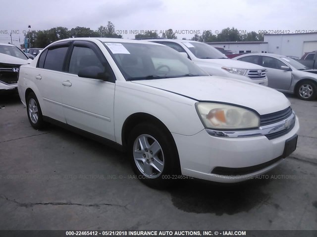 1G1ZT54865F156035 - 2005 CHEVROLET MALIBU LS თეთრი ფოტო 1