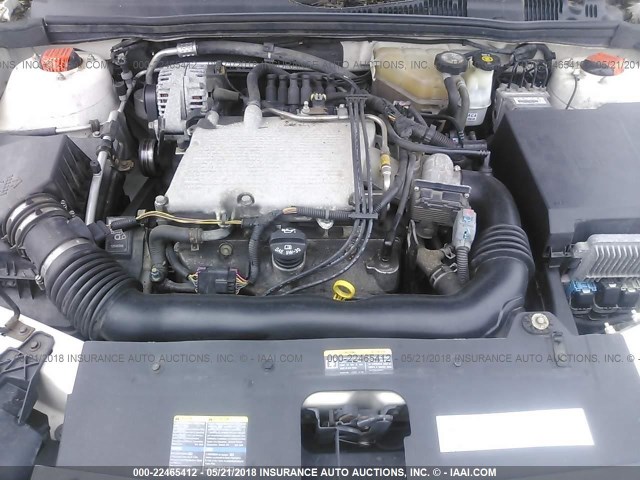 1G1ZT54865F156035 - 2005 CHEVROLET MALIBU LS თეთრი ფოტო 10