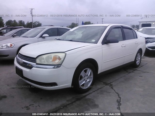 1G1ZT54865F156035 - 2005 CHEVROLET MALIBU LS თეთრი ფოტო 2