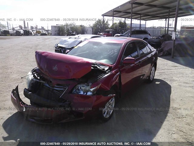 4T1BB46K67U011375 - 2007 TOYOTA CAMRY NEW GENERAT HYBRID RED photo 2