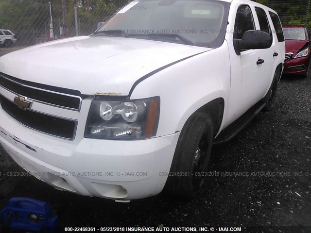 1GNMCAE03AR245094 - 2010 CHEVROLET TAHOE C1500  LS WHITE photo 6