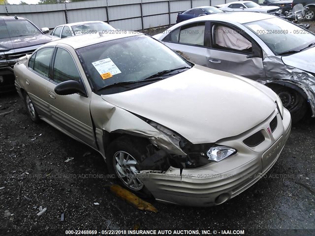 1G2NF52F02C243591 - 2002 PONTIAC GRAND AM SE1 GOLD photo 1