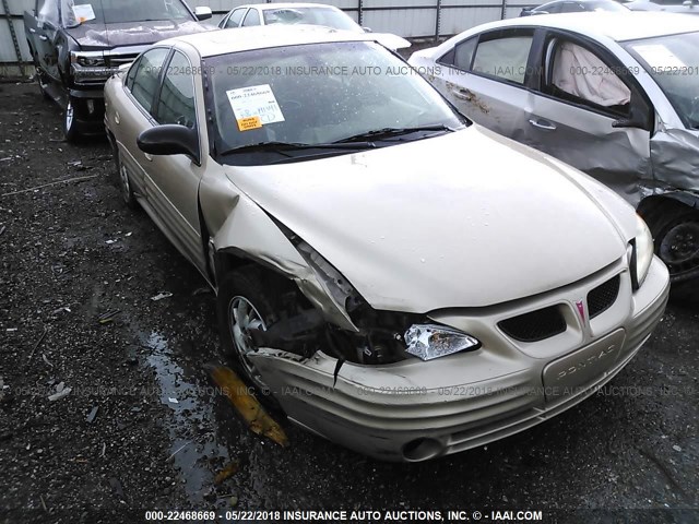 1G2NF52F02C243591 - 2002 PONTIAC GRAND AM SE1 GOLD photo 6