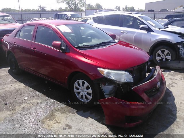 1NXBU4EEXAZ384710 - 2010 TOYOTA COROLLA S/LE/XLE RED photo 1