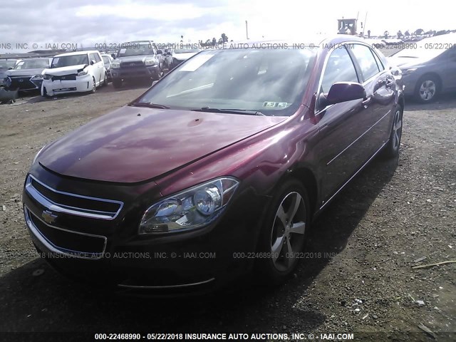 1G1ZJ57B49F168025 - 2009 CHEVROLET MALIBU 2LT MAROON photo 2