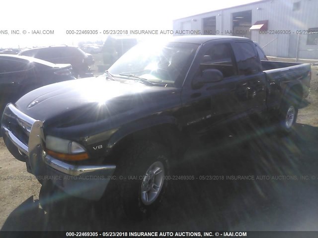 1B7GG22N8YS509185 - 2000 DODGE DAKOTA BLACK photo 2