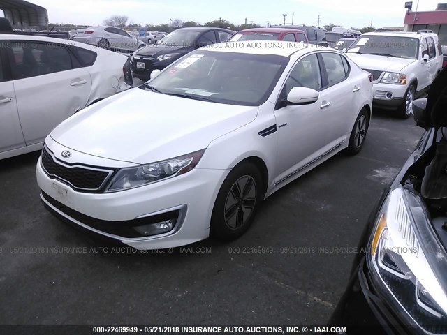 KNAGM4AD4D5058646 - 2013 KIA OPTIMA HYBRID WHITE photo 2