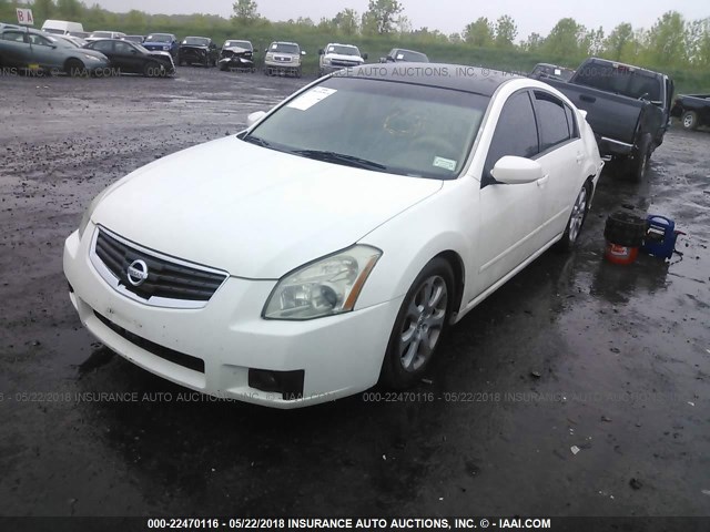 1N4BA41E27C845762 - 2007 NISSAN MAXIMA SE/SL WHITE photo 2