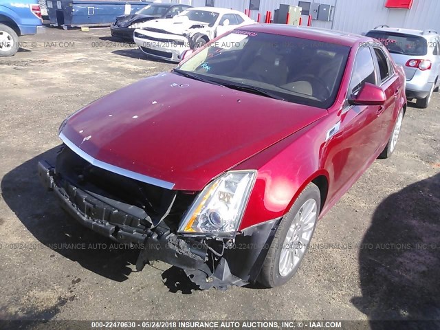 1G6DL5ED3B0159781 - 2011 CADILLAC CTS PERFORMANCE COLLECTION RED photo 2