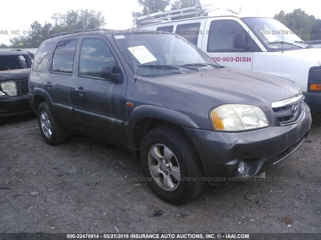 4F2CZ06143KM53825 - 2003 MAZDA TRIBUTE ES GRAY photo 1