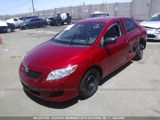 2T1BU4EE7AC416207 - 2010 TOYOTA COROLLA S/LE/XLE RED photo 2