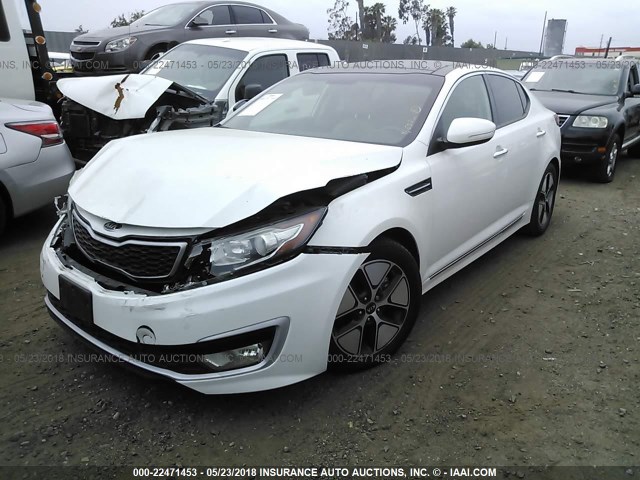 KNAGM4AD3C5022171 - 2012 KIA OPTIMA HYBRID WHITE photo 2