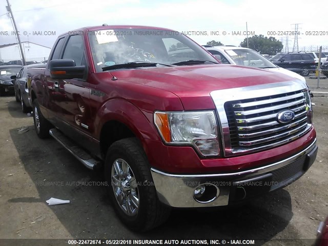1FTFX1CT0BFC64384 - 2011 FORD F150 SUPER CAB RED photo 1