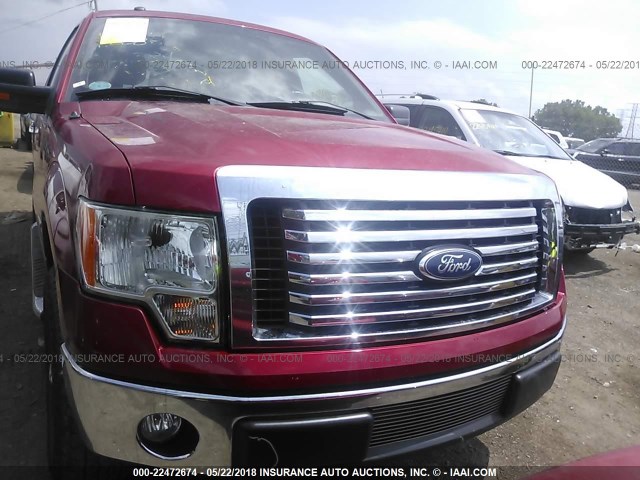 1FTFX1CT0BFC64384 - 2011 FORD F150 SUPER CAB RED photo 6