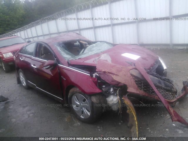 KMHEC4A41DA067403 - 2013 HYUNDAI SONATA HYBRID RED photo 1