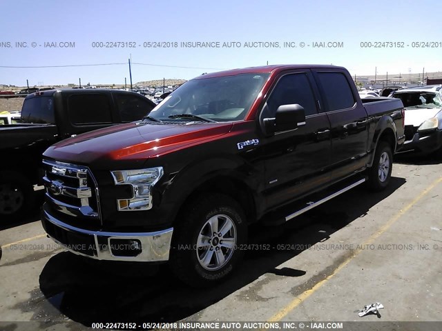 1FTEW1EP8FKD89810 - 2015 FORD F150 SUPERCREW MAROON photo 2