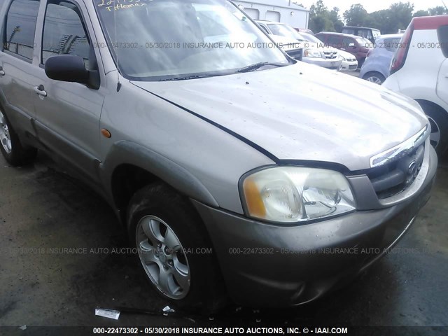 4F2CU08142KM50501 - 2002 MAZDA TRIBUTE LX/ES SILVER photo 6