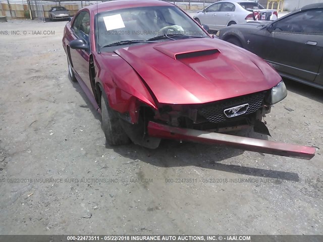 1FAFP42X12F155444 - 2002 FORD MUSTANG GT RED photo 6