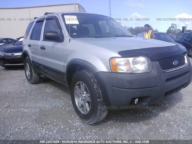 1FMYU03164KB52205 - 2004 FORD ESCAPE XLT GRAY photo 1