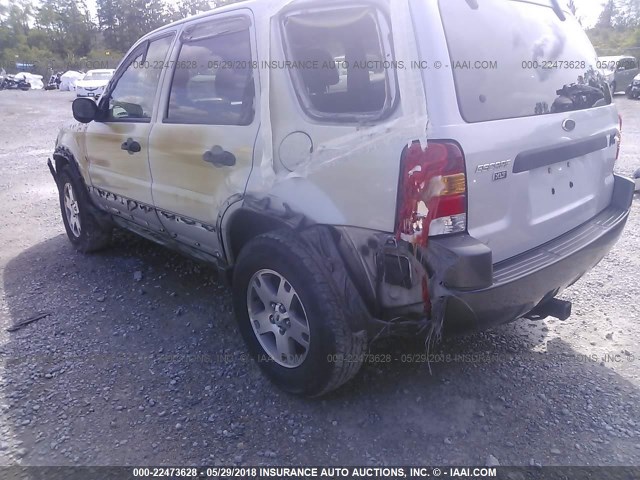 1FMYU03164KB52205 - 2004 FORD ESCAPE XLT GRAY photo 3