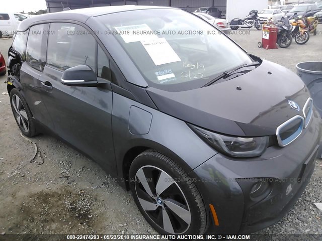 WBY1Z8C35HV891091 - 2017 BMW I3 REX Qara foto 1
