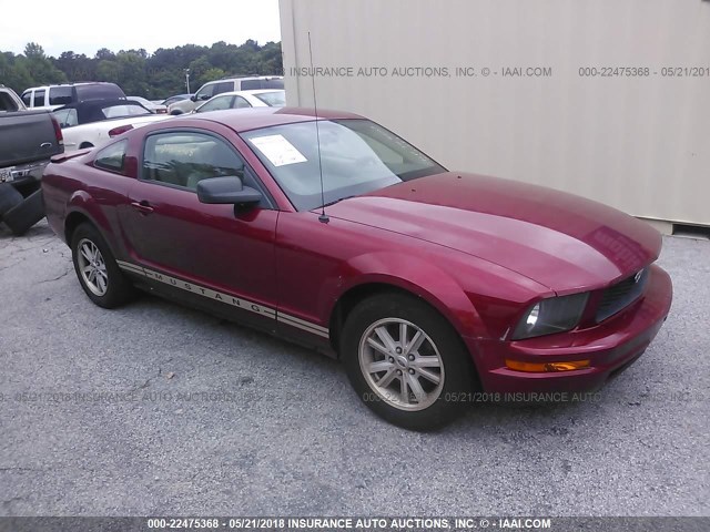 1ZVFT80N275225283 - 2007 FORD MUSTANG RED photo 1