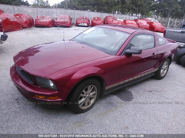 1ZVFT80N275225283 - 2007 FORD MUSTANG RED photo 2