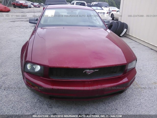 1ZVFT80N275225283 - 2007 FORD MUSTANG RED photo 6