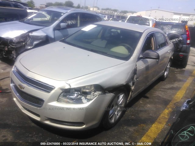 1G1ZB5EB8AF155623 - 2010 CHEVROLET MALIBU LS GOLD photo 2