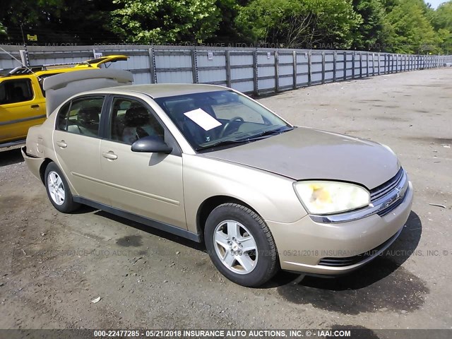 1G1ZT52805F260023 - 2005 CHEVROLET MALIBU LS GOLD photo 1
