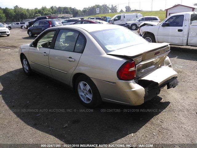 1G1ZT52805F260023 - 2005 CHEVROLET MALIBU LS GOLD photo 3
