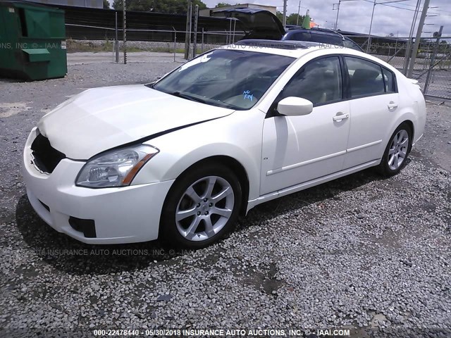 1N4BA41E08C838598 - 2008 NISSAN MAXIMA SE/SL WHITE photo 2