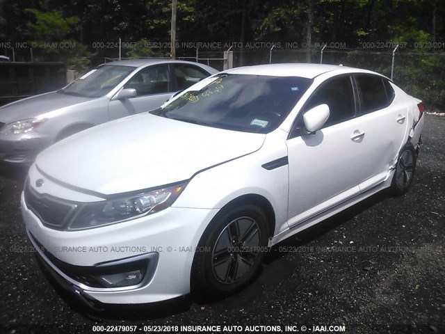 KNAGM4AD5B5003040 - 2011 KIA OPTIMA HYBRID WHITE photo 2