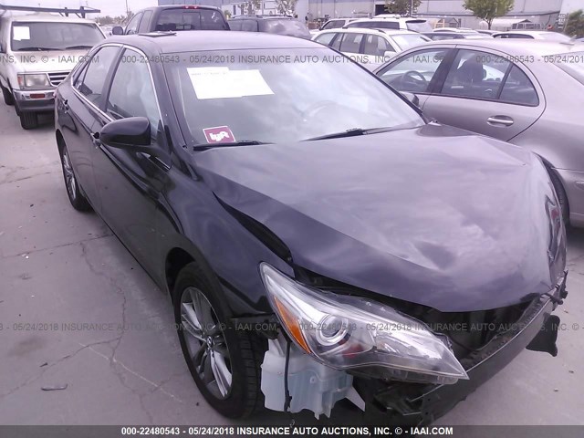 4T1BF1FK2FU039904 - 2015 TOYOTA CAMRY LE/XLE/SE/XSE BLACK photo 1