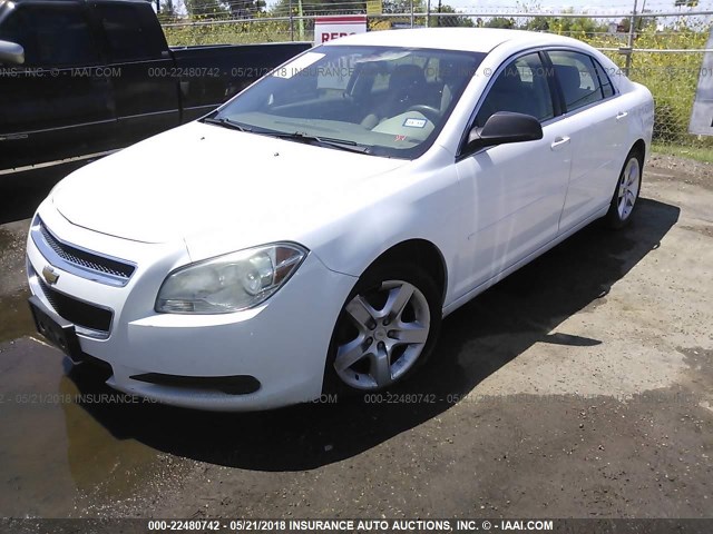 1G1ZA5E04AF232604 - 2010 CHEVROLET MALIBU LS 白色 照片 6
