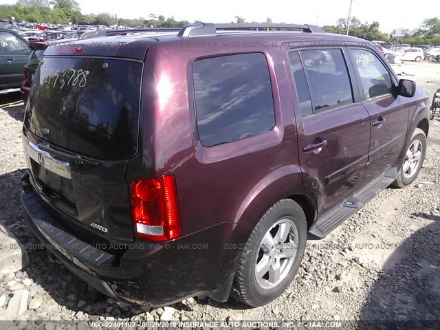 5FNYF4H79BB023243 - 2011 HONDA PILOT EXLN MAROON photo 4