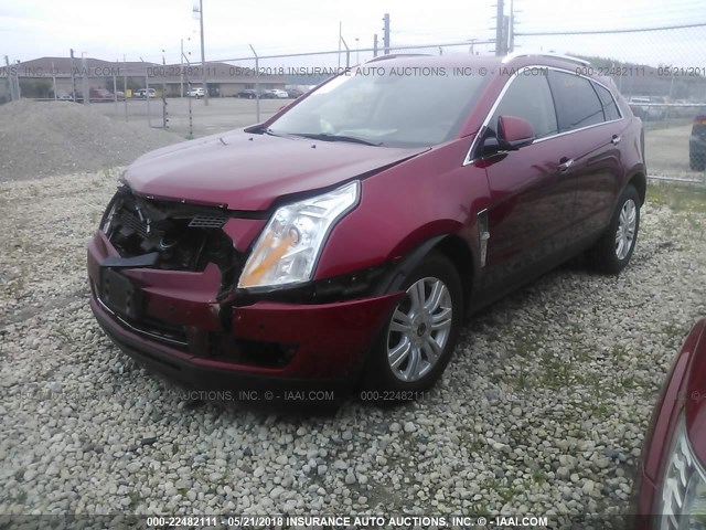 3GYFNDEY4AS554051 - 2010 CADILLAC SRX LUXURY COLLECTION RED photo 2